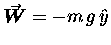 $\mbox{\boldmath$\vec{W}$\unboldmath } =
- m \, g \, \hat{y}$